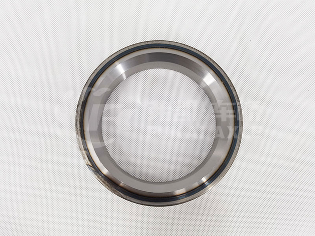 Rear Hub Oil Seal Ring for Shacman Delong Truck Spare Parts Dz9112340280