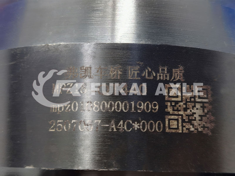 Differential Assembly for Auman Qingte Truck Spare Parts Qt440sh0-2510050