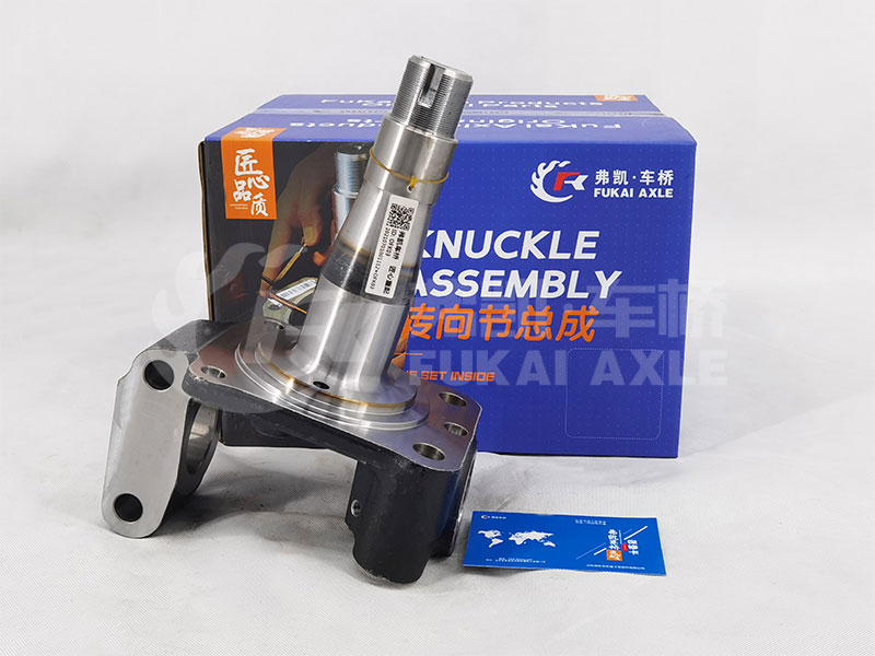 Steering Knuckle Assembly for Camc Truck Spare Parts TZ3001017-A3