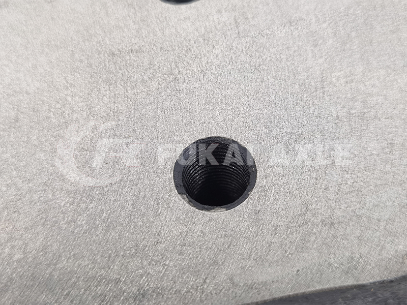 Steel Slide Rail / Guide Plate for Shacman Delong Truck Parts Dz95319520000