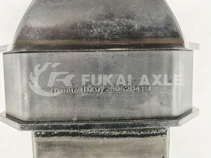 Limit Block Assembly for Shacman Delong Spare Parts Dz97259520418