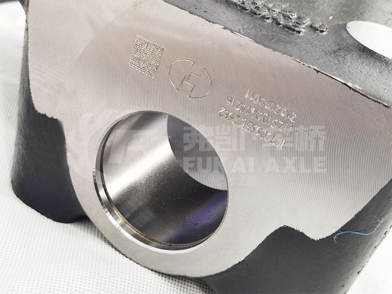 Steering Knuckle for Shacman Delong Truck Spare Parts Dz9100410216