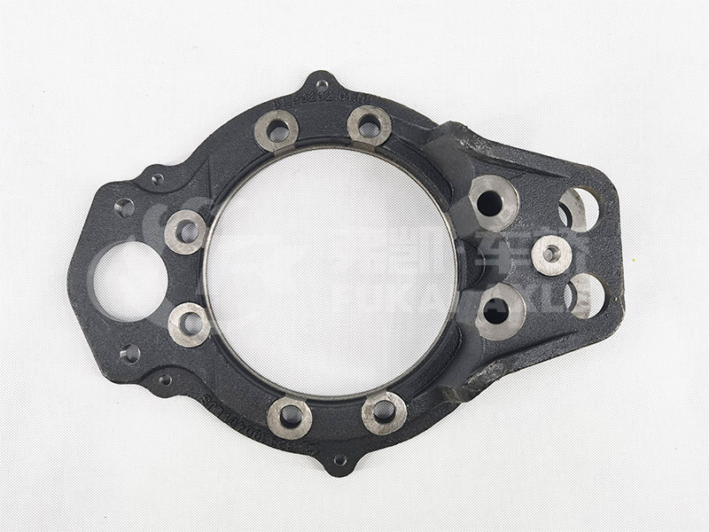 Front Brake Base Plate Assy for Shacman Delong Truck Spare Parts 81.50202.0108