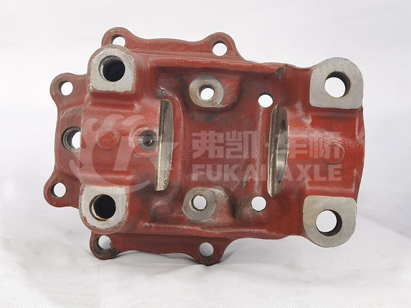 Steering Knuckle Assembly for Camc Hanma Truck Spare Parts RF3001021-C RF3001022-C