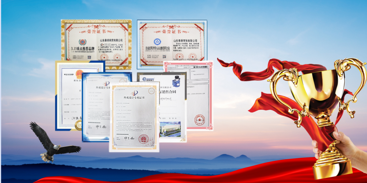证书10
