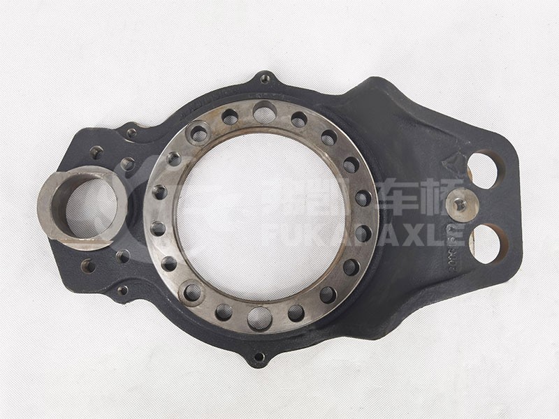 Brake Plate Assy for Sinotruk Man Axle Truck Spare Parts AZ9761349004
