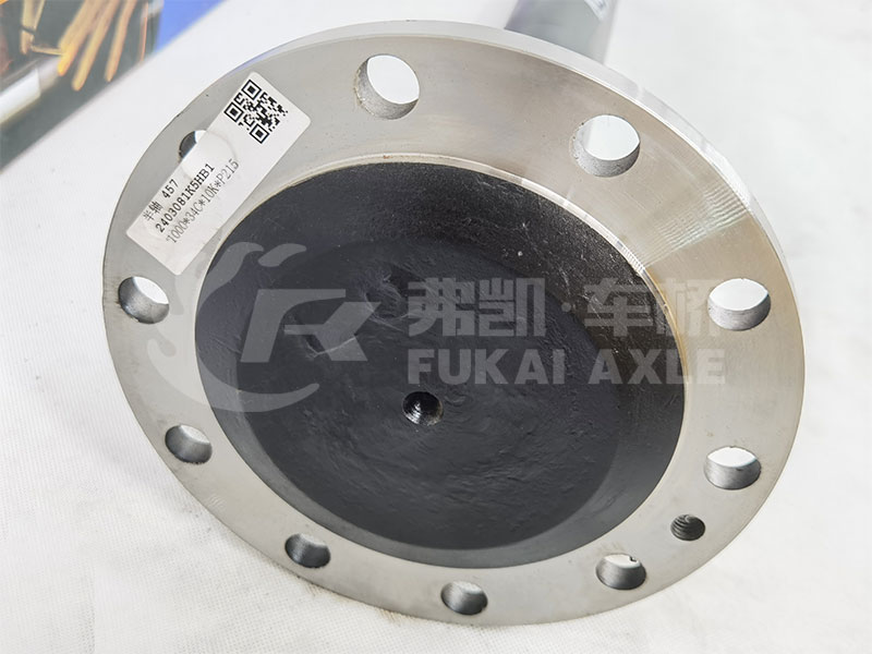 Half Axle Shaft for 457 Axle Dayun Truck Spare Parts 2403081K5HB1
