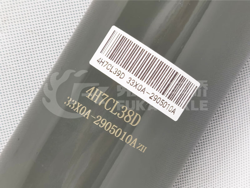 Front Axle Shock Absorber for Dongfeng Liuqi Chenglong H7 Truck Spare Parts 33X0A-2905010A