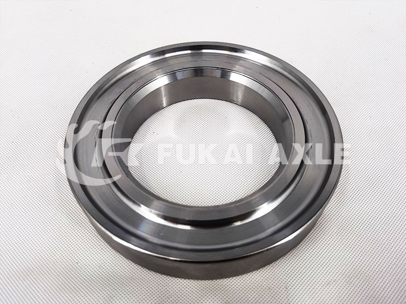 oil seal