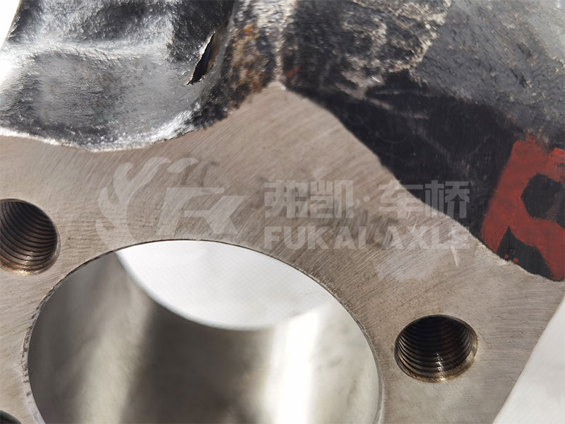 Steering Knuckle Assembly for Dongfeng 153 Truck Spare Parts 30N-01021