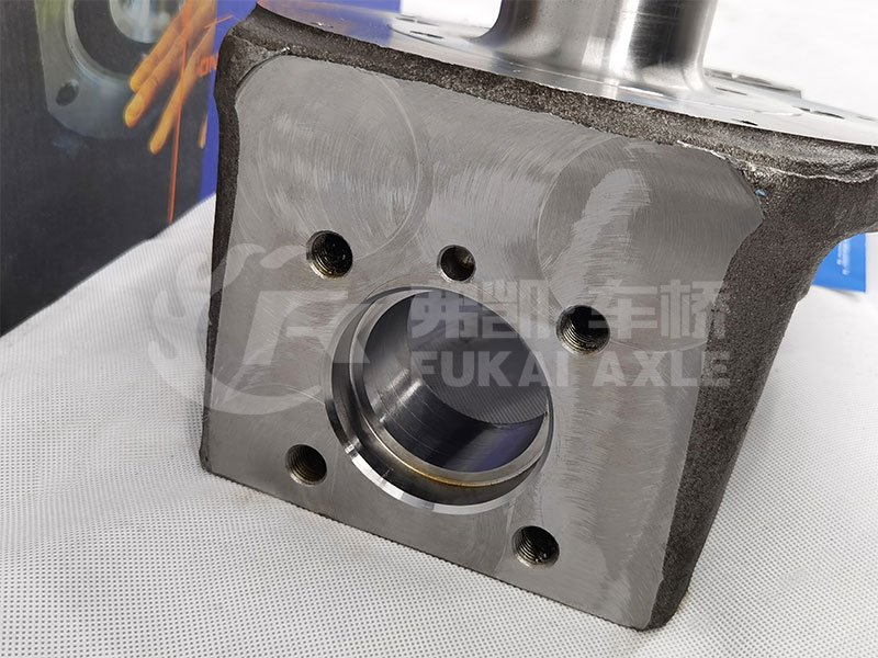 Steering Knuckle Assembly for Foton Auman Truck Spare Parts Hff3501230ck5g