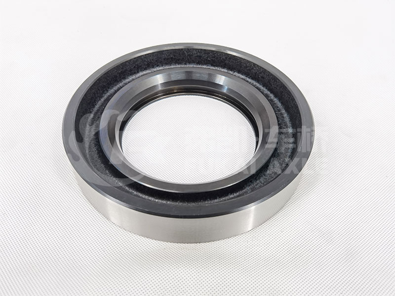 Oil Seal Seat for Sinotruk Steyr Auto Truck Spare Parts 199012340019