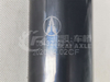 Front Axle Shock Absorber for North Benz Spare Parts 0043239800/0043289800-6048