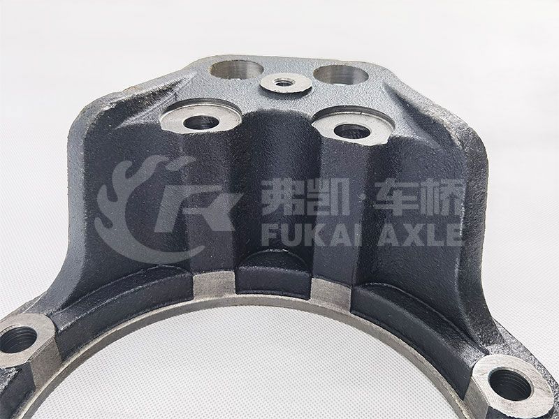 Front Brake Base Plate Assy for Shacman Delong Truck Spare Parts 81.50202.0108
