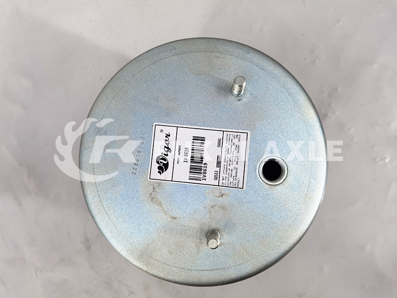Air Bag Shock Absorber For BPW Truck Spare Parts 1V8619
