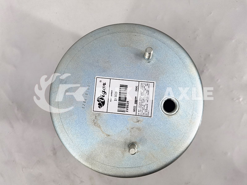 Air Bag Shock Absorber For BPW Truck Spare Parts 1V8619