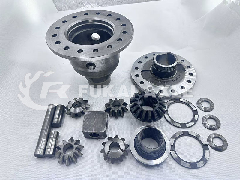 Front Axle Inter-Wheel Differential Assembly for Iveco Truck Axle Parts
