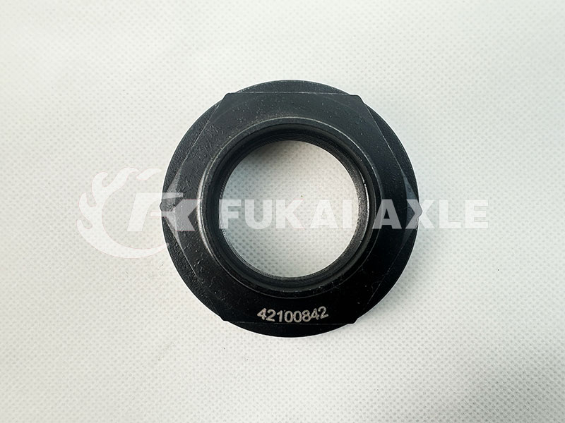 Nut 42100842 For Iveco Truck Spare Prats
