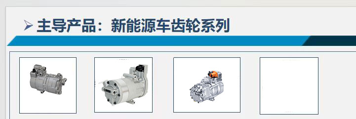 主导产品