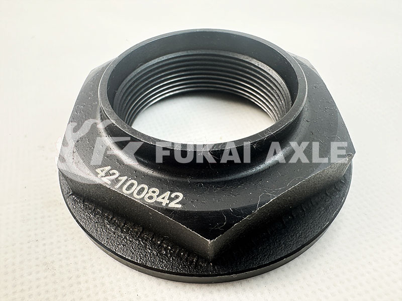 Nut 42100842 For Iveco Truck Spare Prats