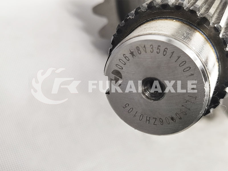 Differential Input Shaft Assembly For Shacman Delong Truck Auto Spare Parts 81.35100.6599