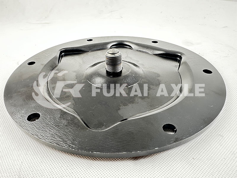Wheel Rim Cover for Iveco Dump Truck Spare Parts 42118921