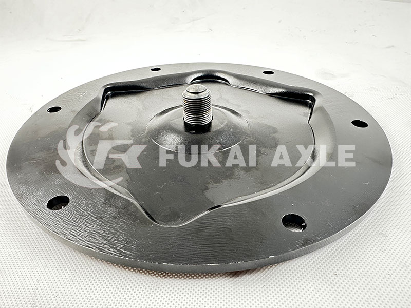 Wheel Rim Cover for Iveco Dump Truck Spare Parts 42118921