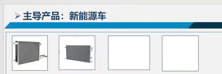 主导产品