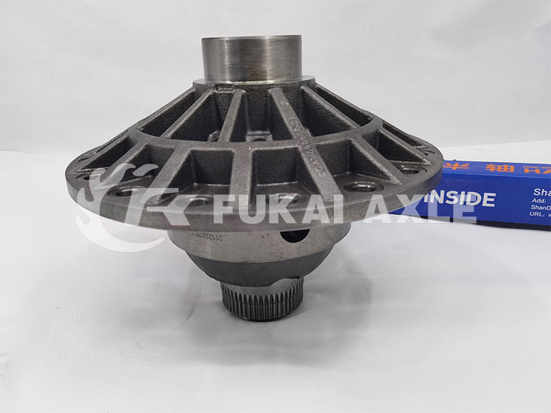Differential Housing For Fuwa Axle Ford Truck Spare Parts 2SAY0001A1-1